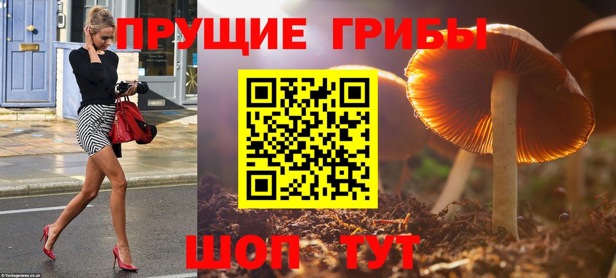 Псилоцибиновые грибы ЛСД Корсаков